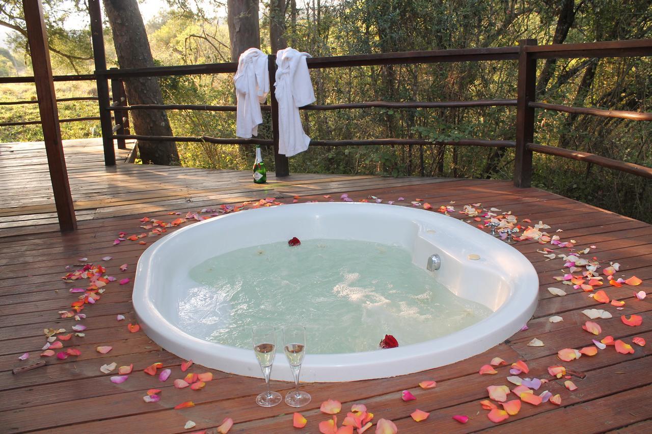 Addo Elephant Lodge & Safaris 커크우드 외부 사진