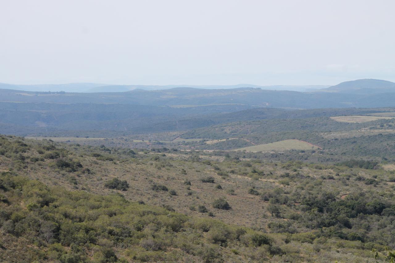 Addo Elephant Lodge & Safaris 커크우드 외부 사진