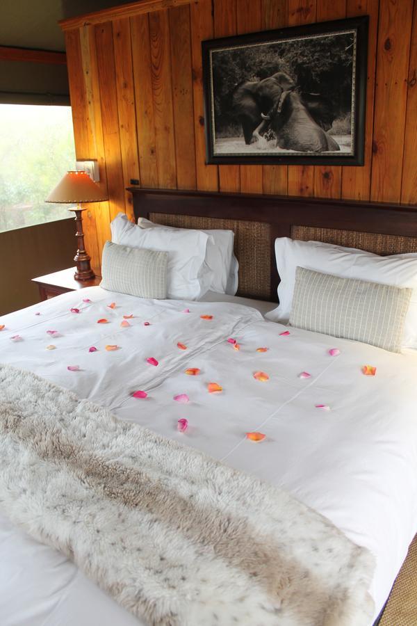 Addo Elephant Lodge & Safaris 커크우드 외부 사진