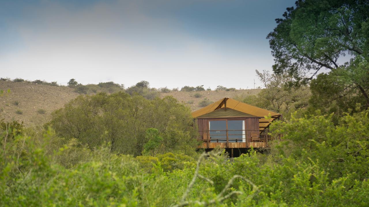 Addo Elephant Lodge & Safaris 커크우드 외부 사진