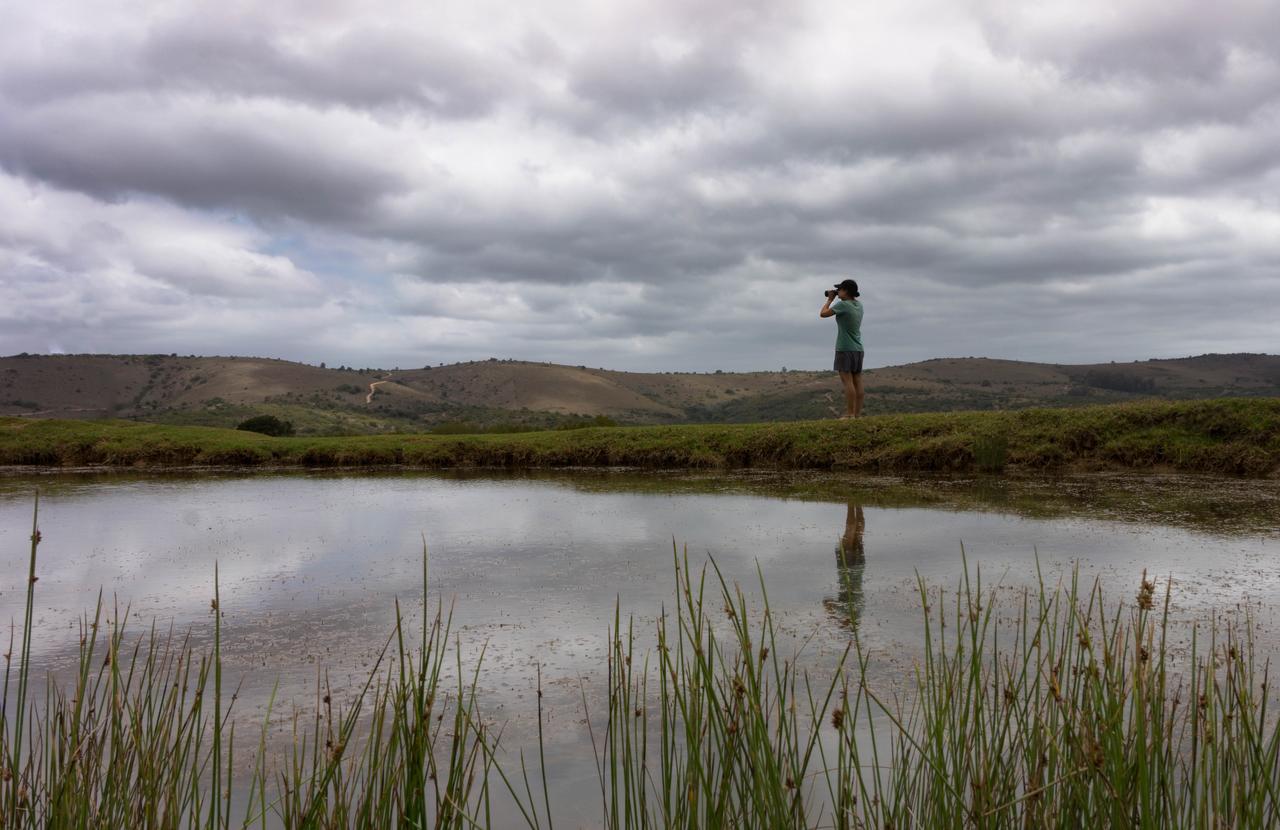 Addo Elephant Lodge & Safaris 커크우드 외부 사진
