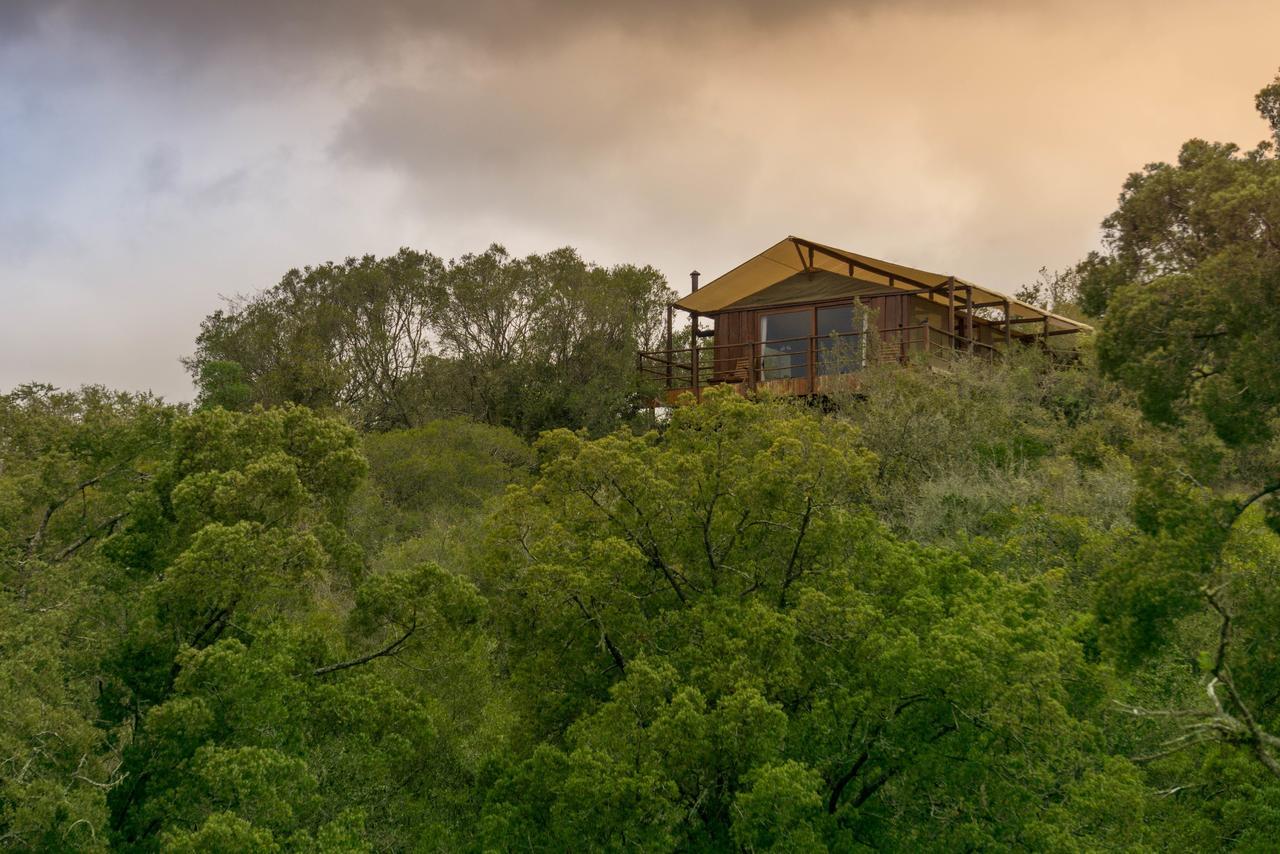 Addo Elephant Lodge & Safaris 커크우드 외부 사진