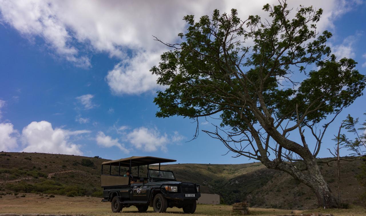 Addo Elephant Lodge & Safaris 커크우드 외부 사진