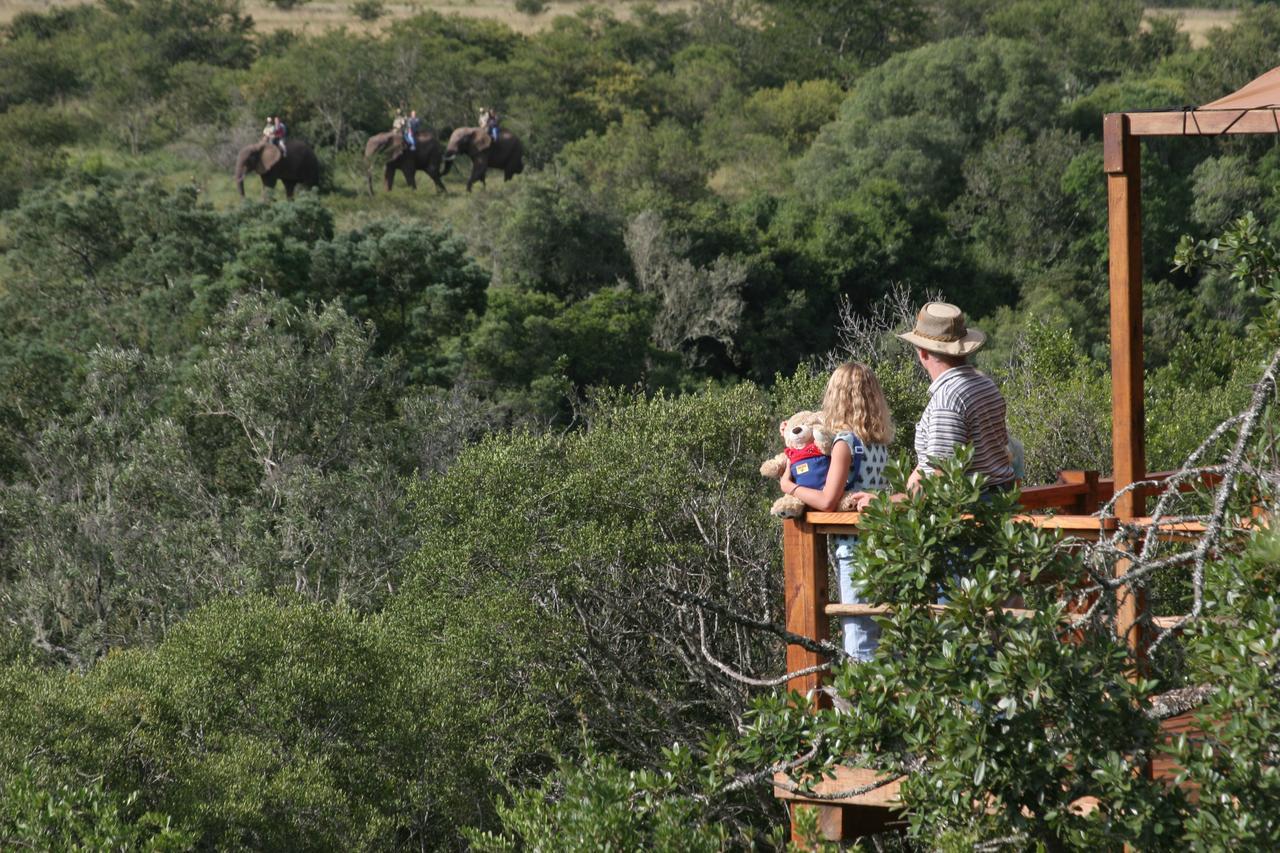 Addo Elephant Lodge & Safaris 커크우드 외부 사진